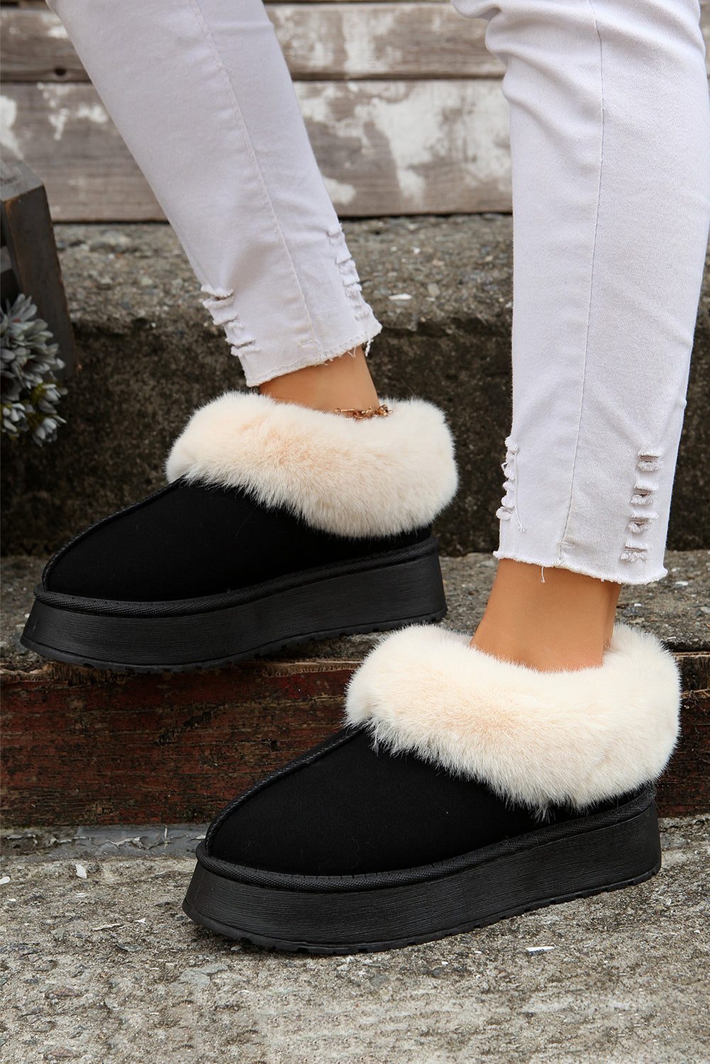 Snow Shoes