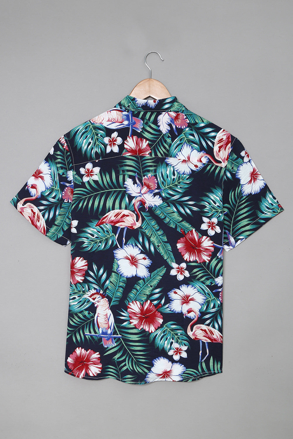 Tropical Paradise